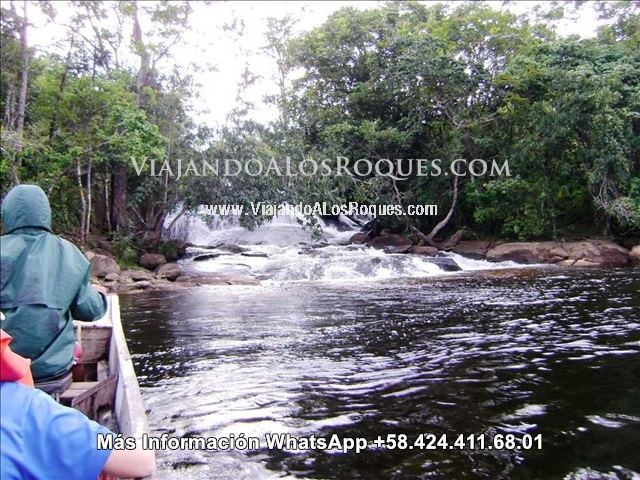 Paseo_isla_orquidea_canaima%20(3)