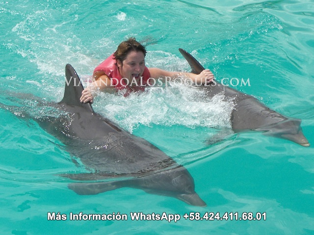 Nado-delfines-margarita%20(31)