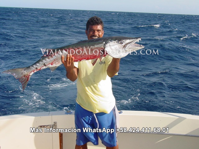 Pesca-los-roques-fishing%20(7)