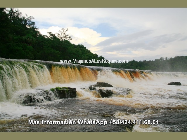 Paseo_salto_el_yuri_canaima%20(20)